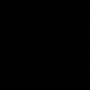 Meet your Posher, Miguel